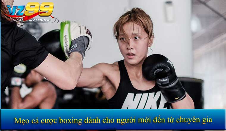 Cá cược Boxing 2026 – Hướng dẫn chi tiết cho người chơi mới 5 Mẹo cá cược boxing dành cho người mới đến từ chuyên gia