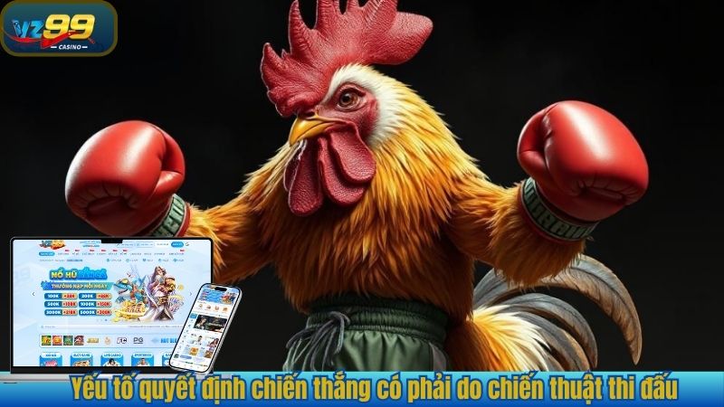 Bí Quyết Đá Gà Hiệu Quả - Chinh Phục Mọi Đấu Trường Tại VZ99 4 Yếu tố quyết định chiến thắng có phải do chiến thuật thi đấu